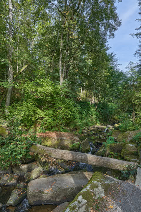 Gemeinde Waldkirchen Landkreis Freyung-Grafenau Saußbachklamm (Dirschl Johann) Deutschland FRG